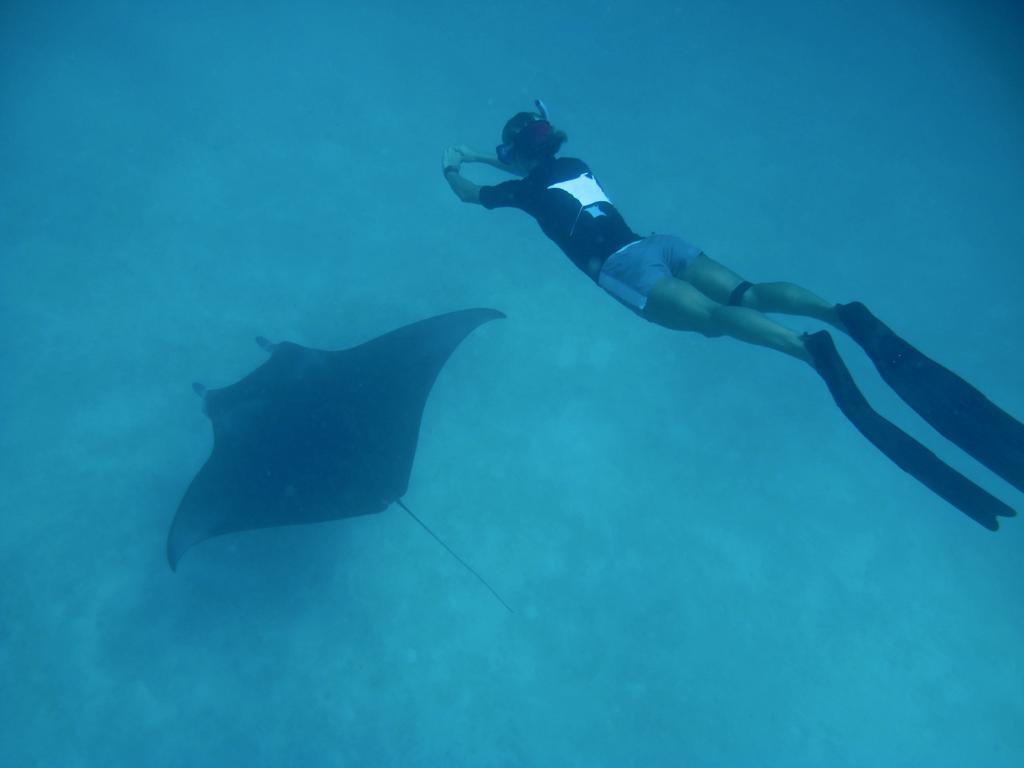 Coco Palm Dhuni Kolhu - 20 Percent Off Roundtrip Seaplane For Stays From 1 May To 30 September 2025 Тхулхаадхоо Екстер'єр фото